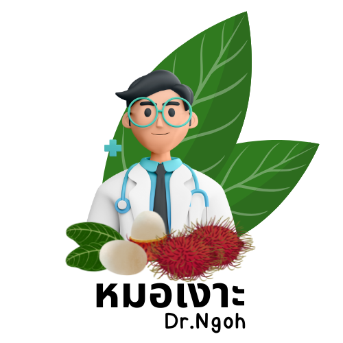 โลโก้