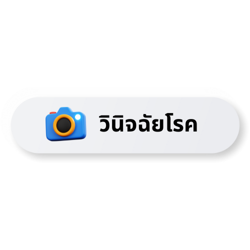 เริ่มการจำแนก